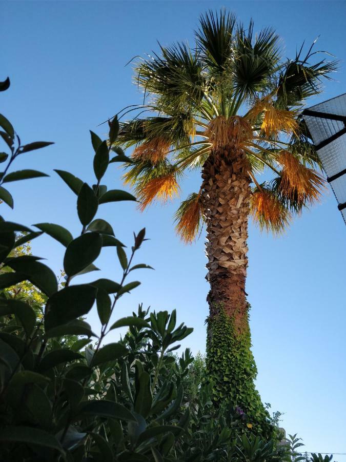 La Palmeraie Marsella Exterior foto