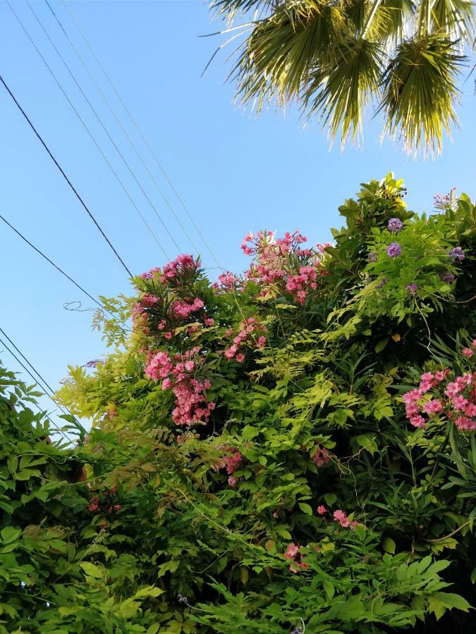 La Palmeraie Marsella Exterior foto